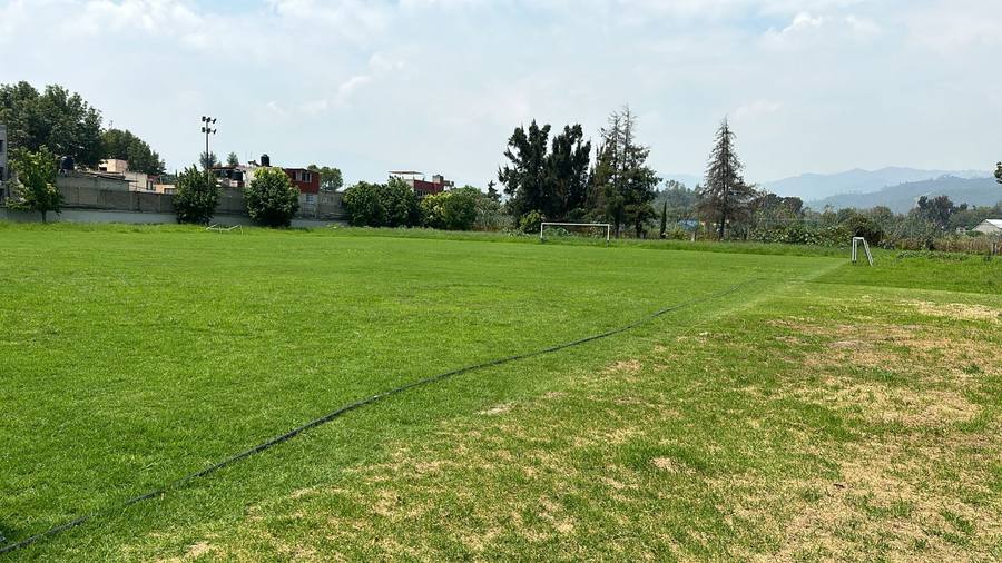 Suministro y tendido de pasto alfombra — rehabilitación de cancha de futbol, CCH Vallejo